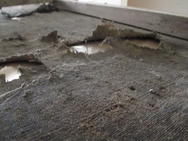 2. Lacunes de couche picturale